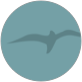 ALBUFERA.COM