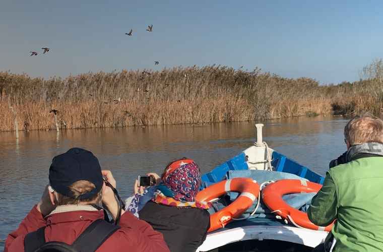 Tourisme ornithologique