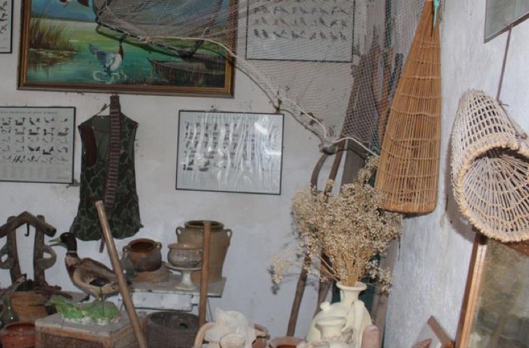 Excursión barca, visita museo y ruta por la Devesa