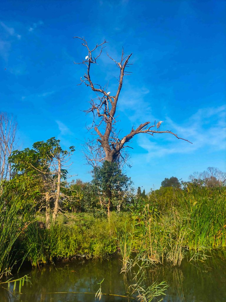 3 large ecosystems