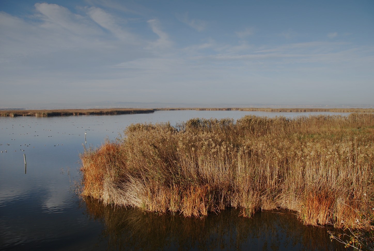 Paseos en barca y rutas guiadas
Albufera Nature