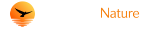 Logo fondo negro sin letras